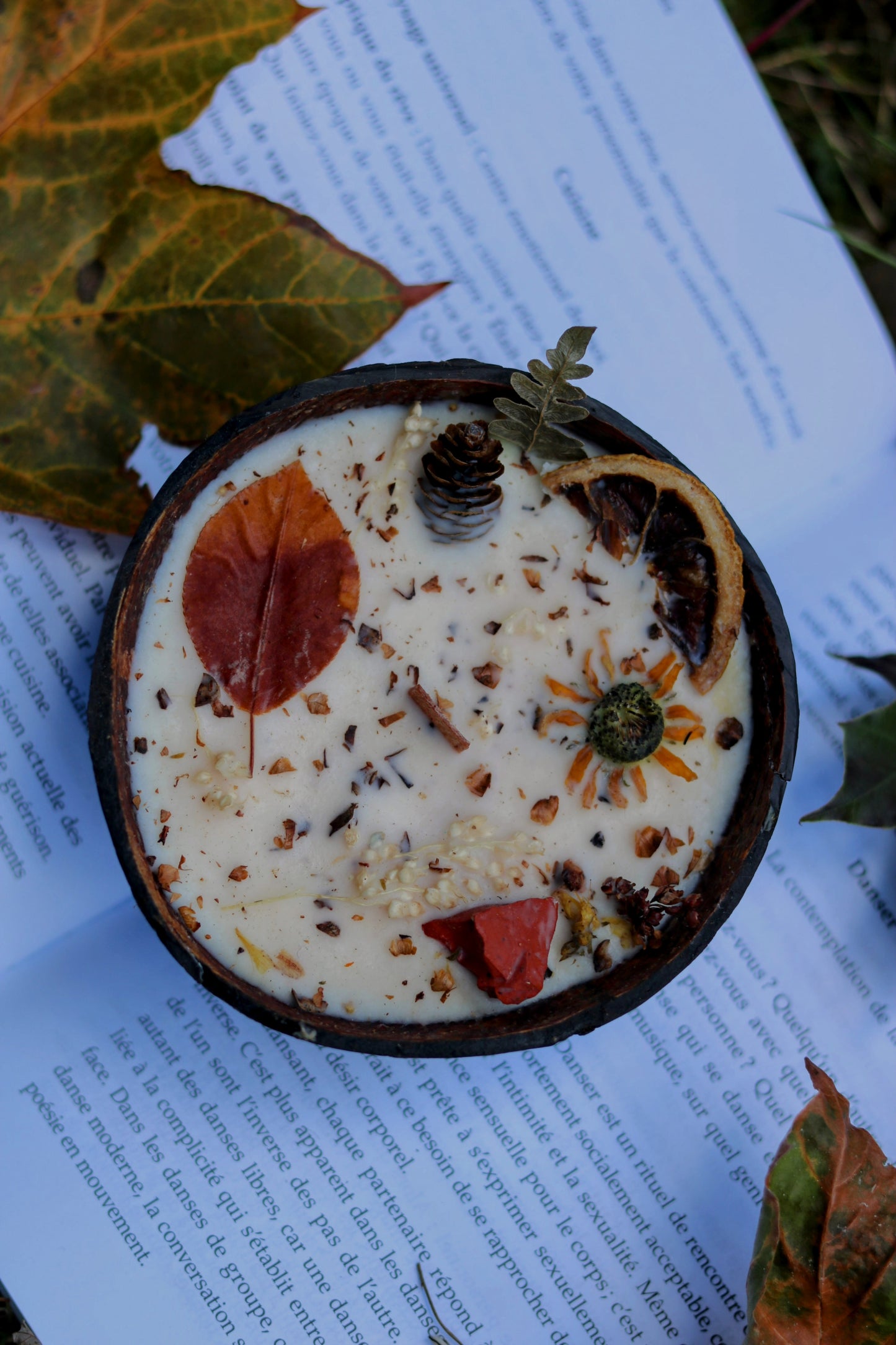 « Chapitre de la forêt » Célébration Mabon