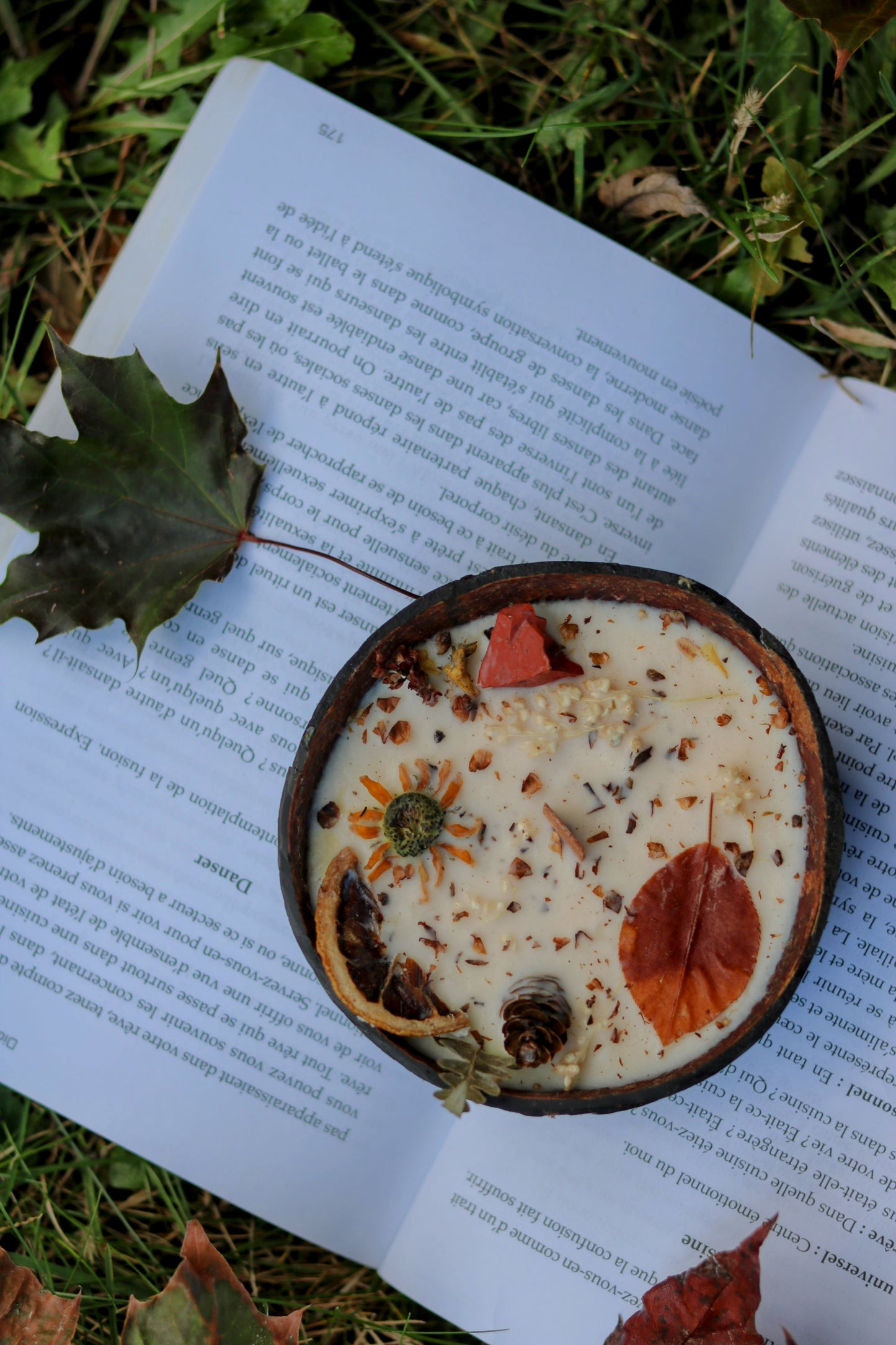 « Chapitre de la forêt » Célébration Mabon