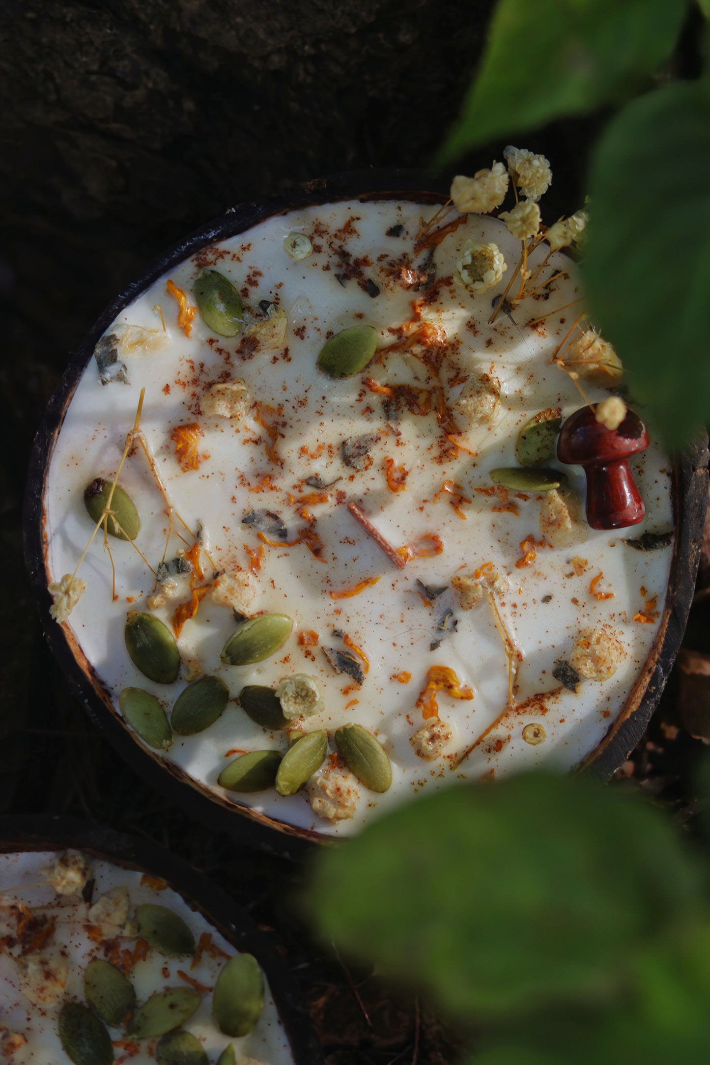 « Mousse d'or » Célébration Mabon