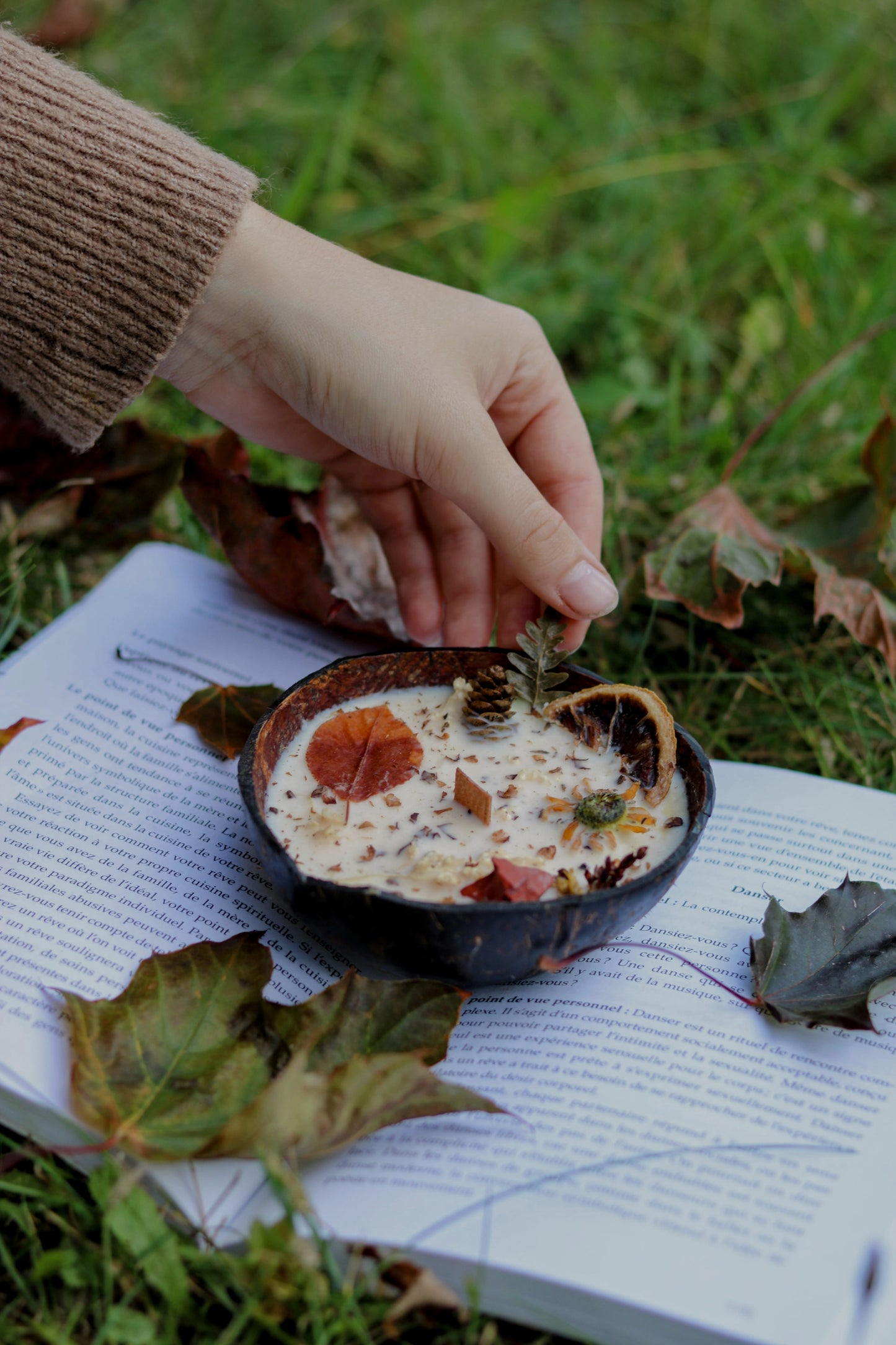 « Chapitre de la forêt » Célébration Mabon