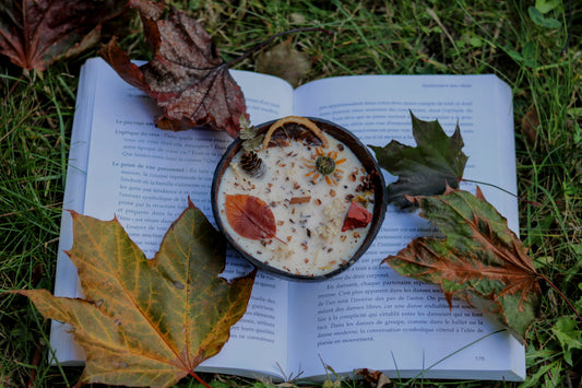 « Chapitre de la forêt » Célébration Mabon