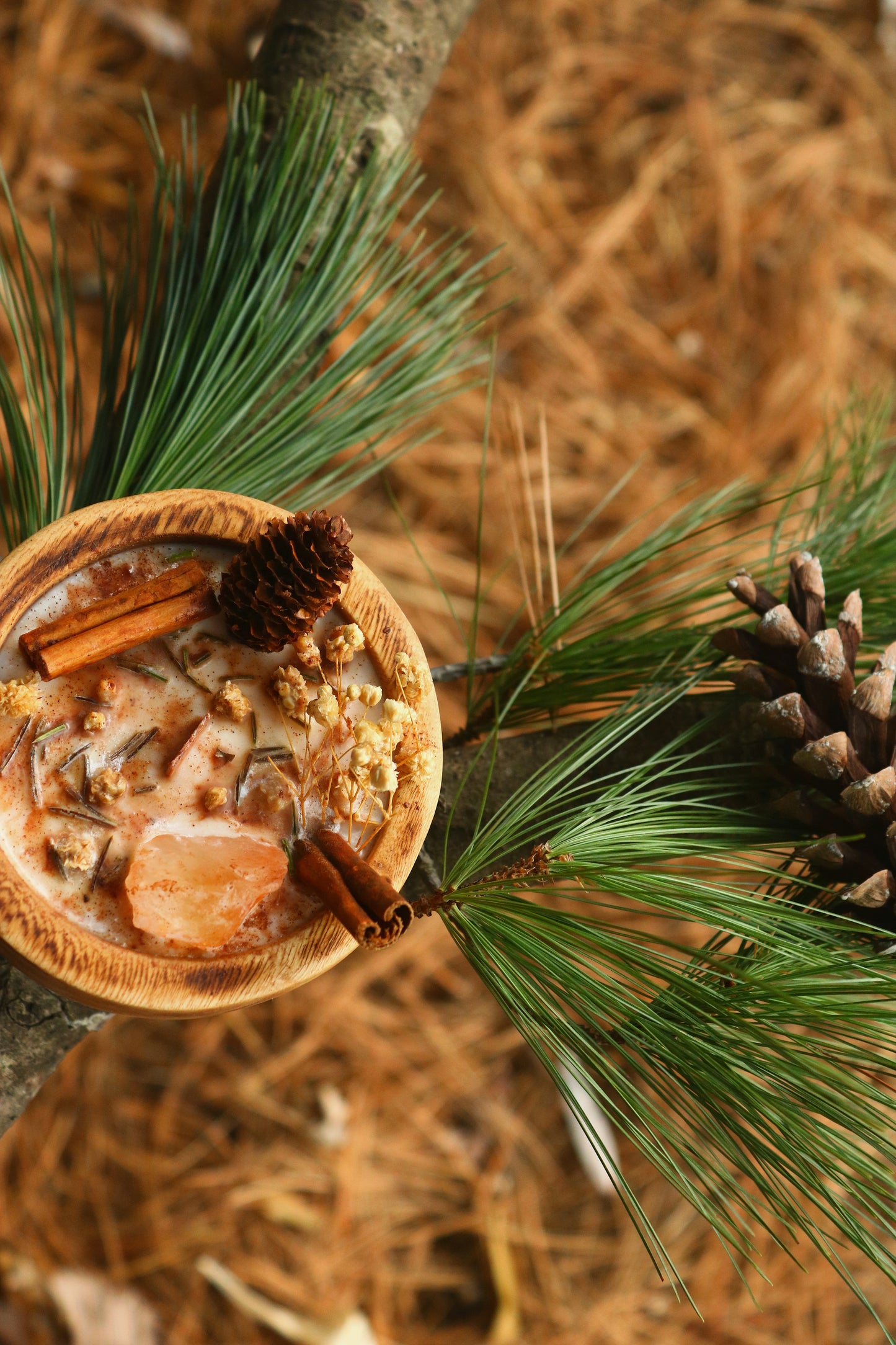 « Cœur de pin » Célébration Yule