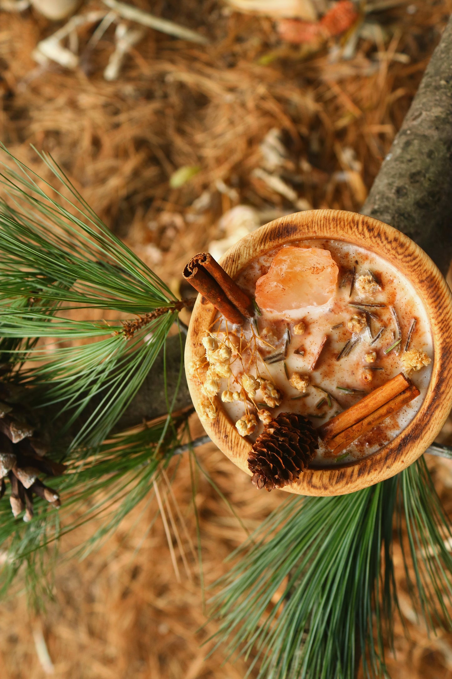 « Cœur de pin » Célébration Yule