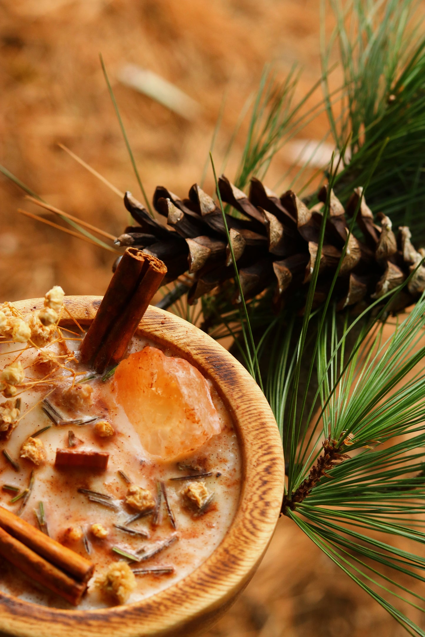 « Cœur de pin » Célébration Yule