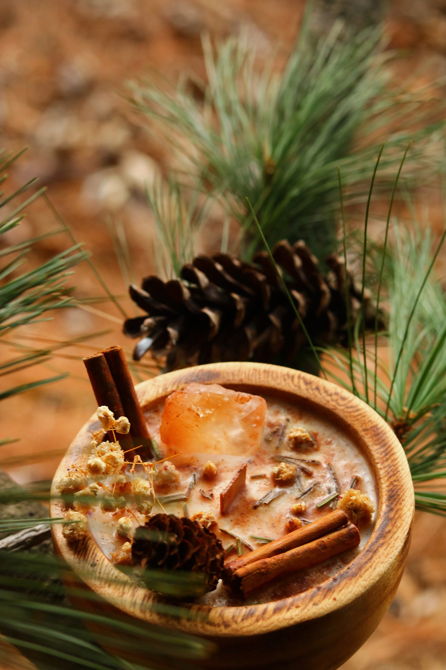 « Cœur de pin » Célébration Yule