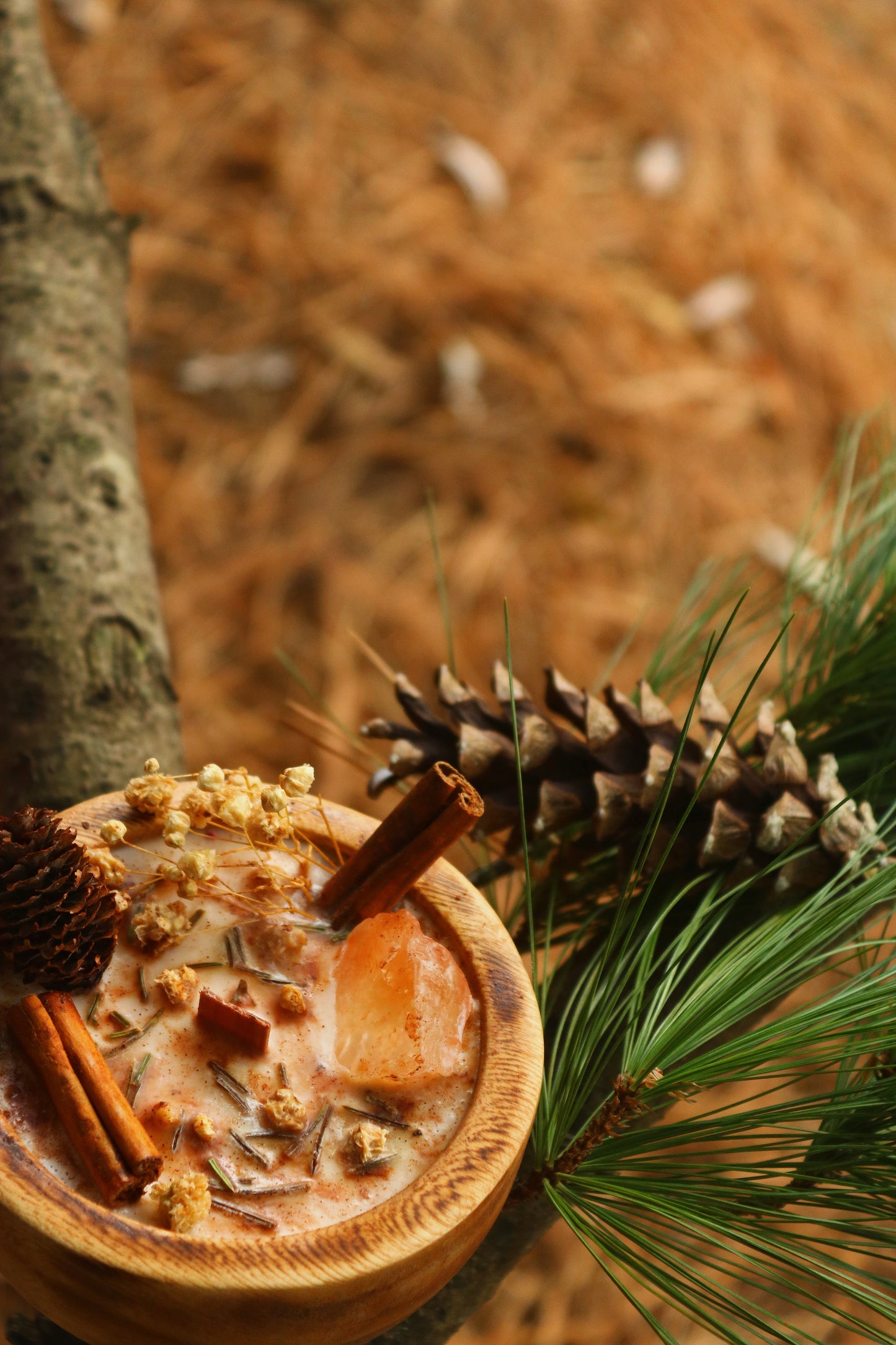 « Cœur de pin » Célébration Yule